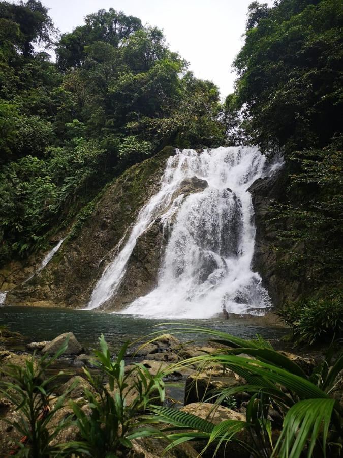 Reserva Natural Selva Mojada Nuquí Dış mekan fotoğraf